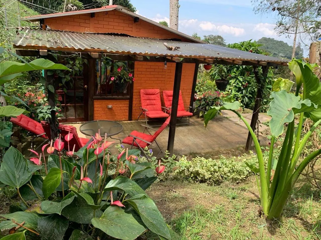 El Barranquero Cabana La Tangara 칼리