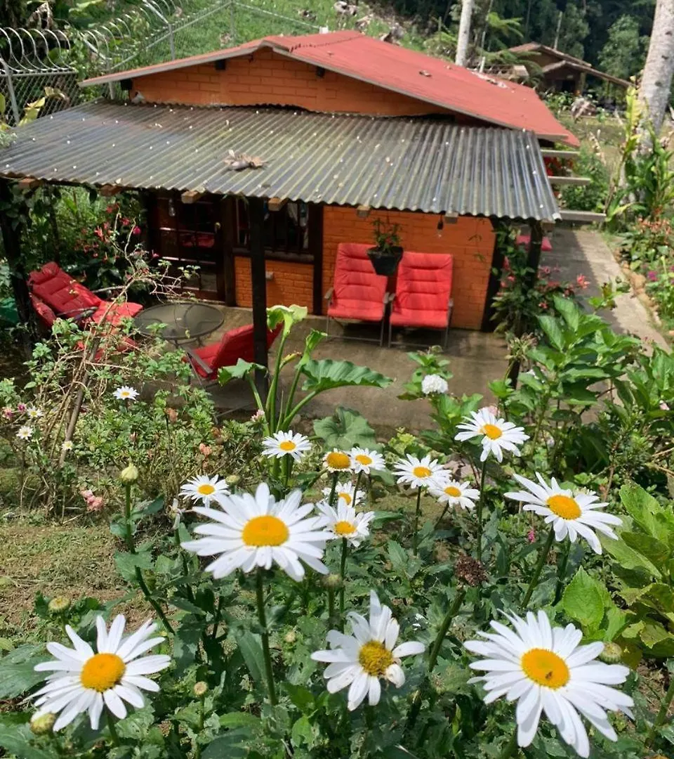 Country house El Barranquero Cabana La Tangara Cali